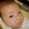 gal/New Born/_thb_P1000224.jpg